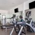 Palestra