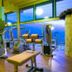 Palestra