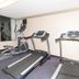 Palestra