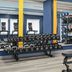 Palestra