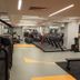Palestra