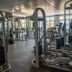 Palestra