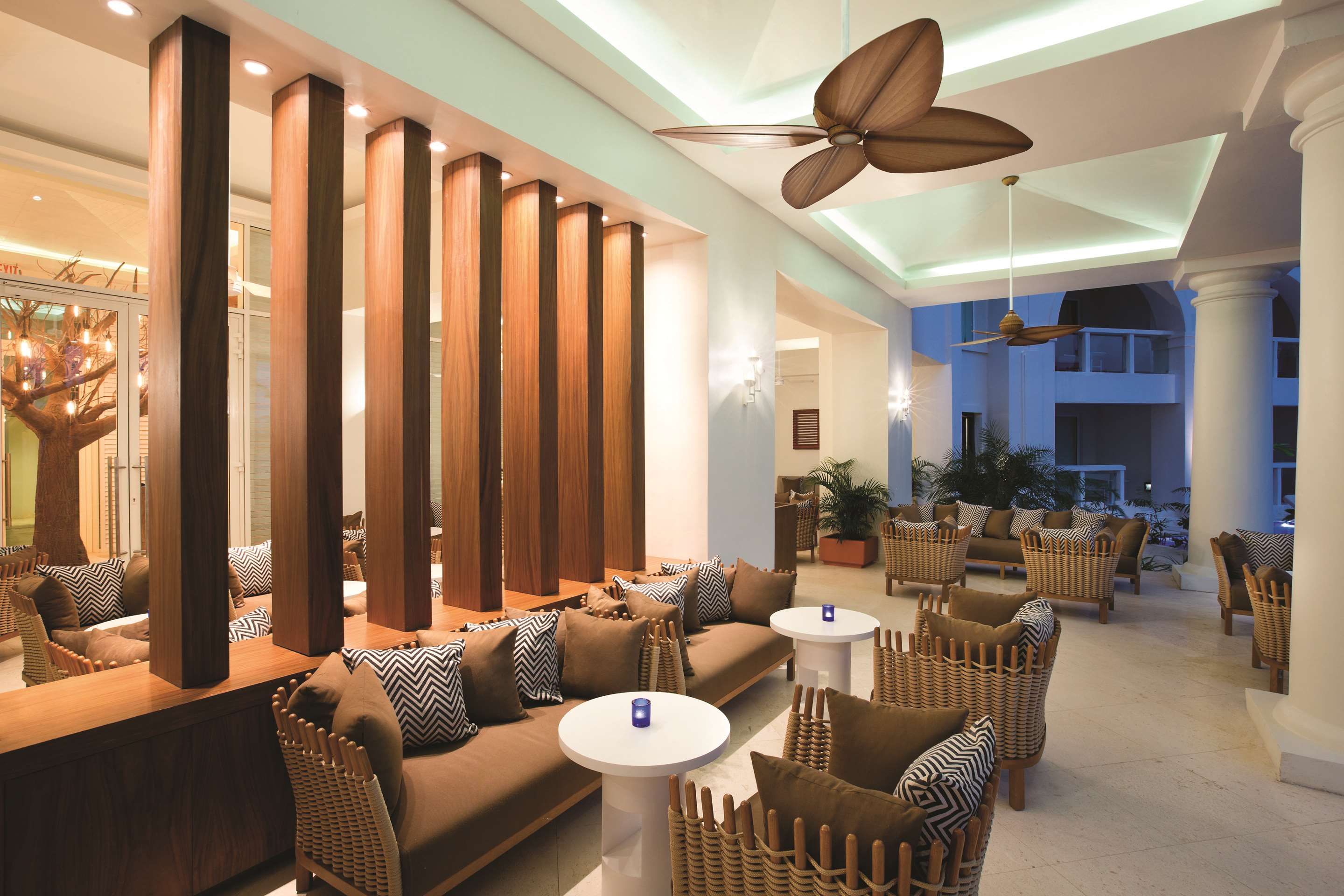 Area lounge
