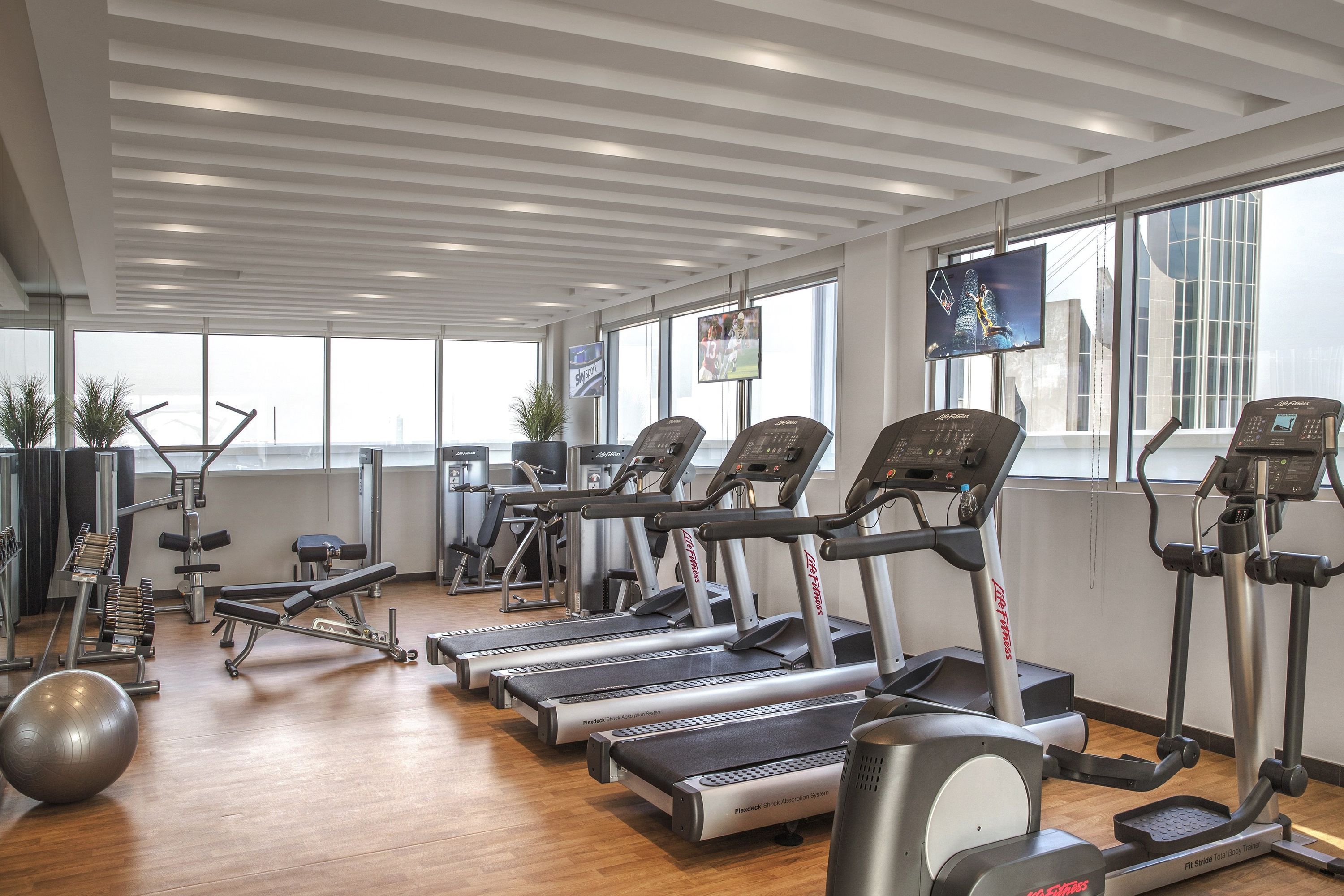 Palestra