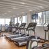 Palestra