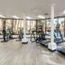 Palestra