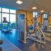 Palestra