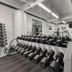 Palestra