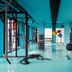 Palestra