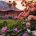 Vista esterna