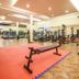 Palestra