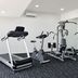 Palestra