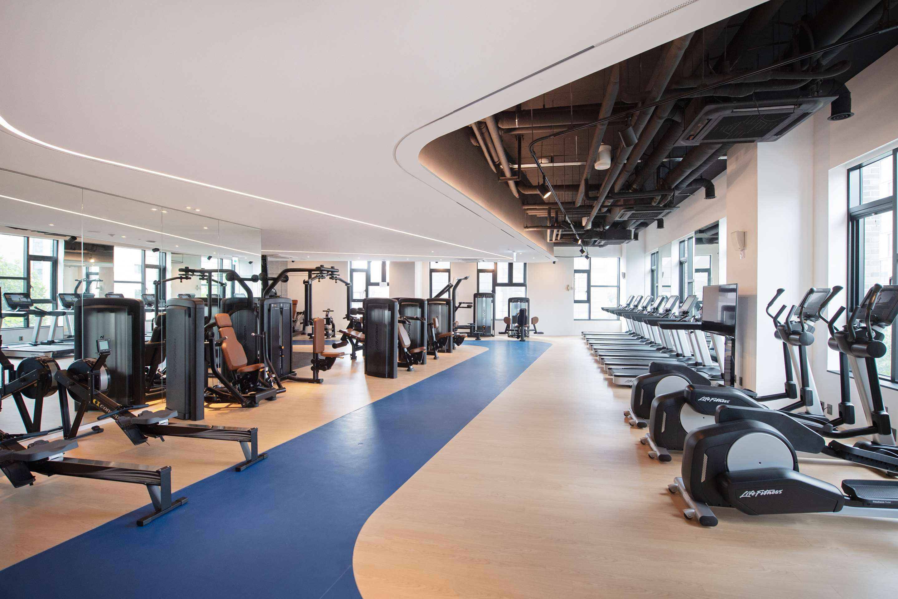 Palestra