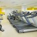 Palestra
