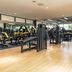 Palestra