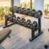 Palestra