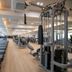 Palestra