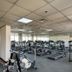 Palestra