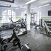 Palestra