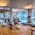 Palestra