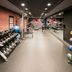 Palestra