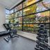 Palestra