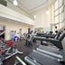 Palestra
