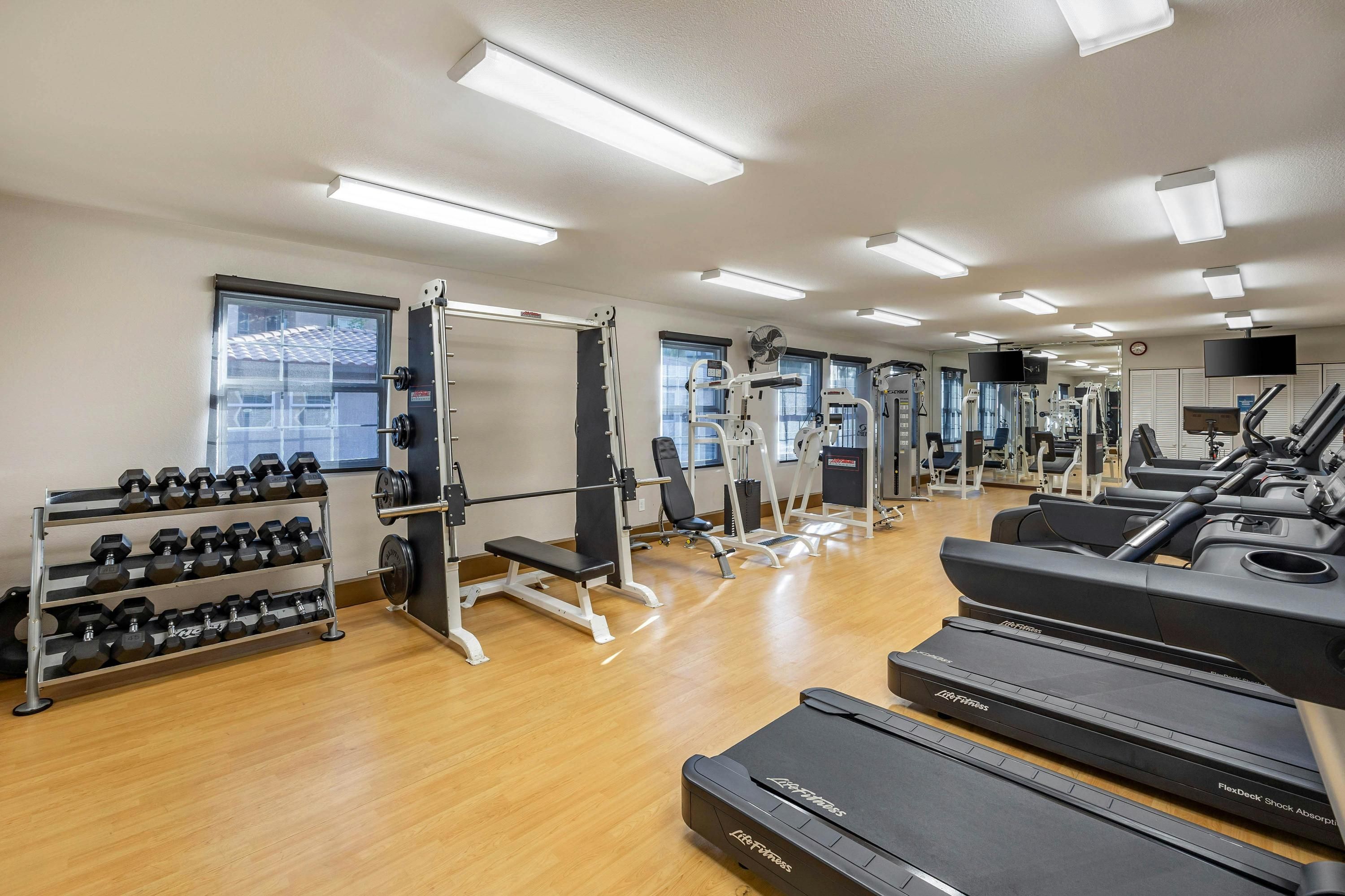 Palestra