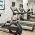 Palestra