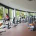Palestra