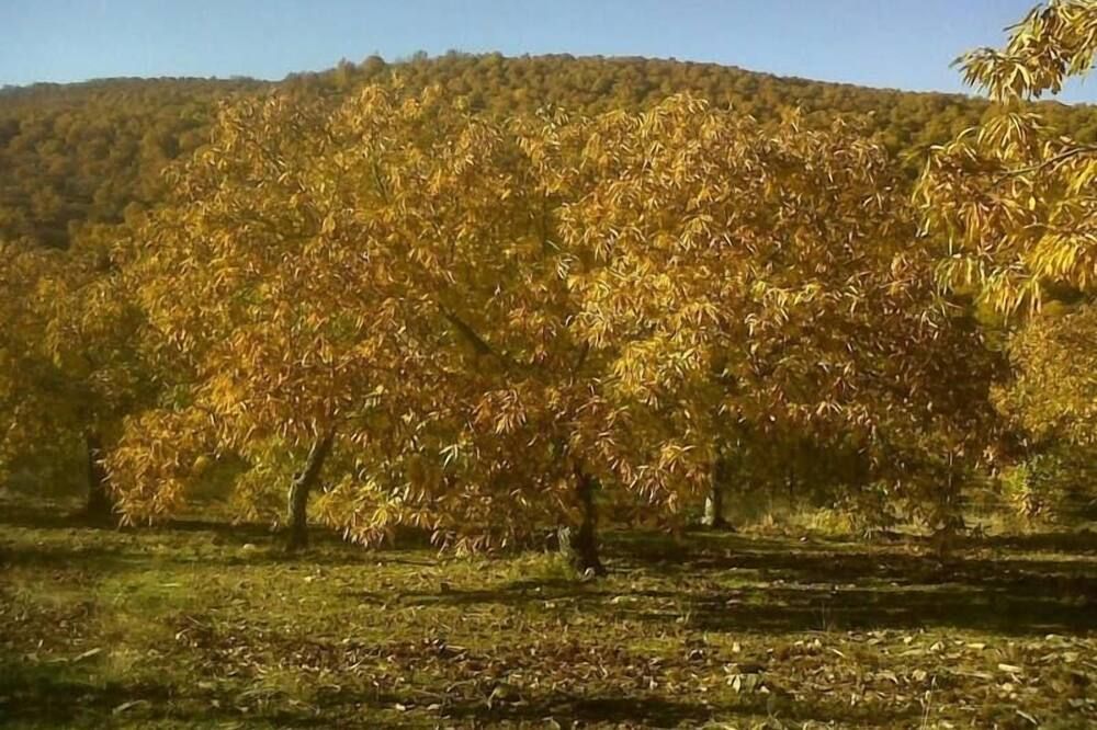 Vista esterna