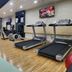 Palestra
