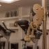 Palestra