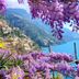 Vista esterna