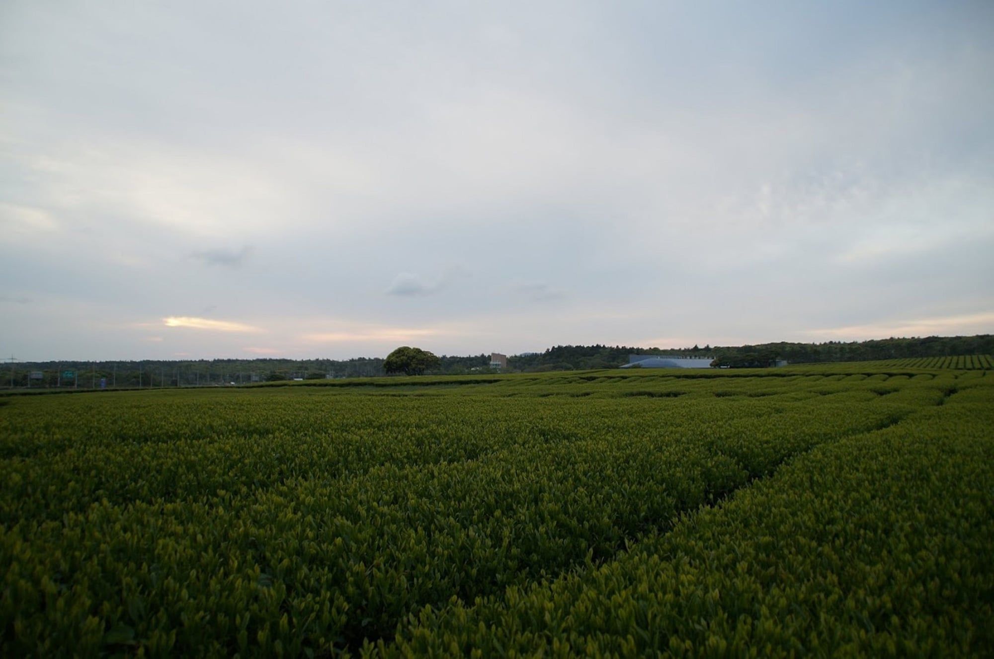 Vista esterna