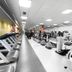 Palestra