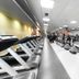 Palestra