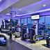 Palestra