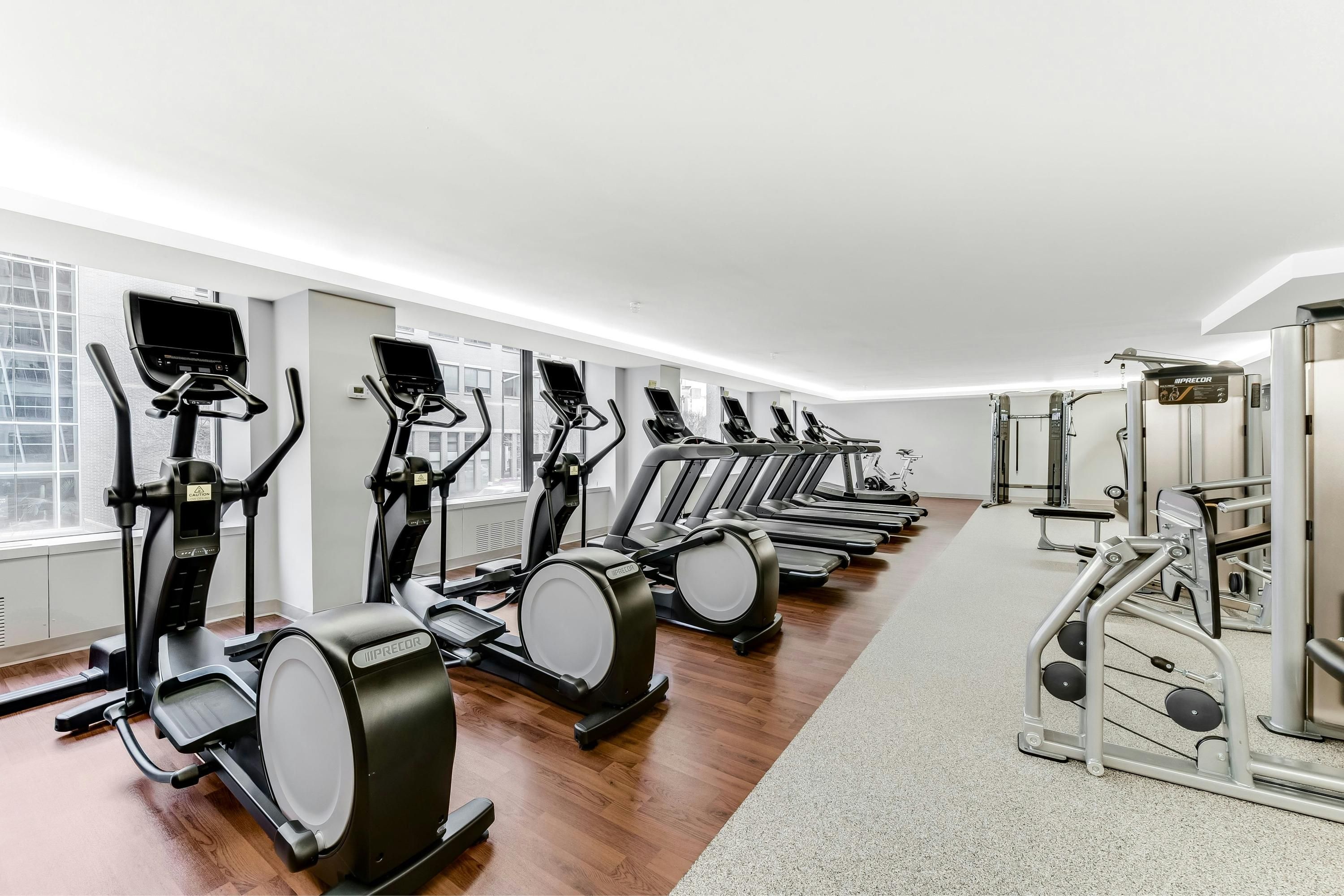 Palestra