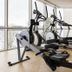 Palestra