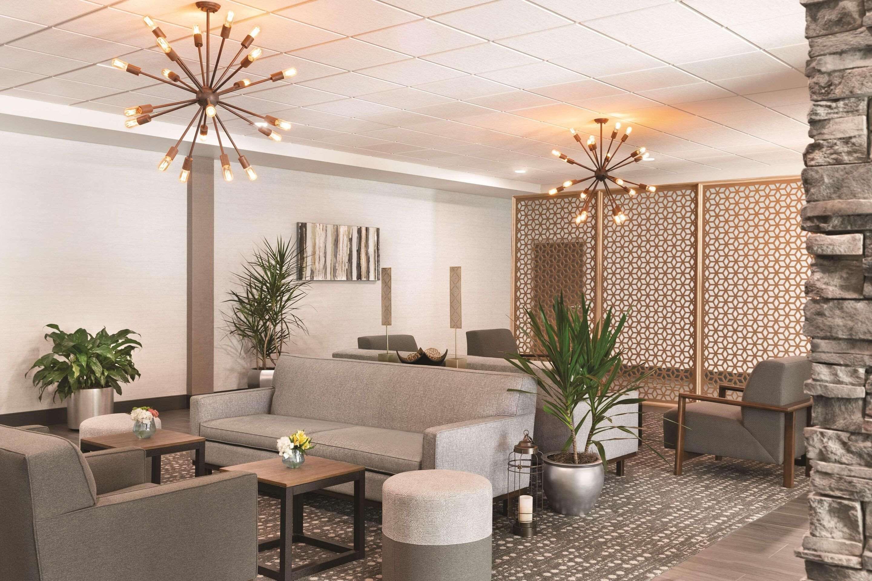 Area lounge