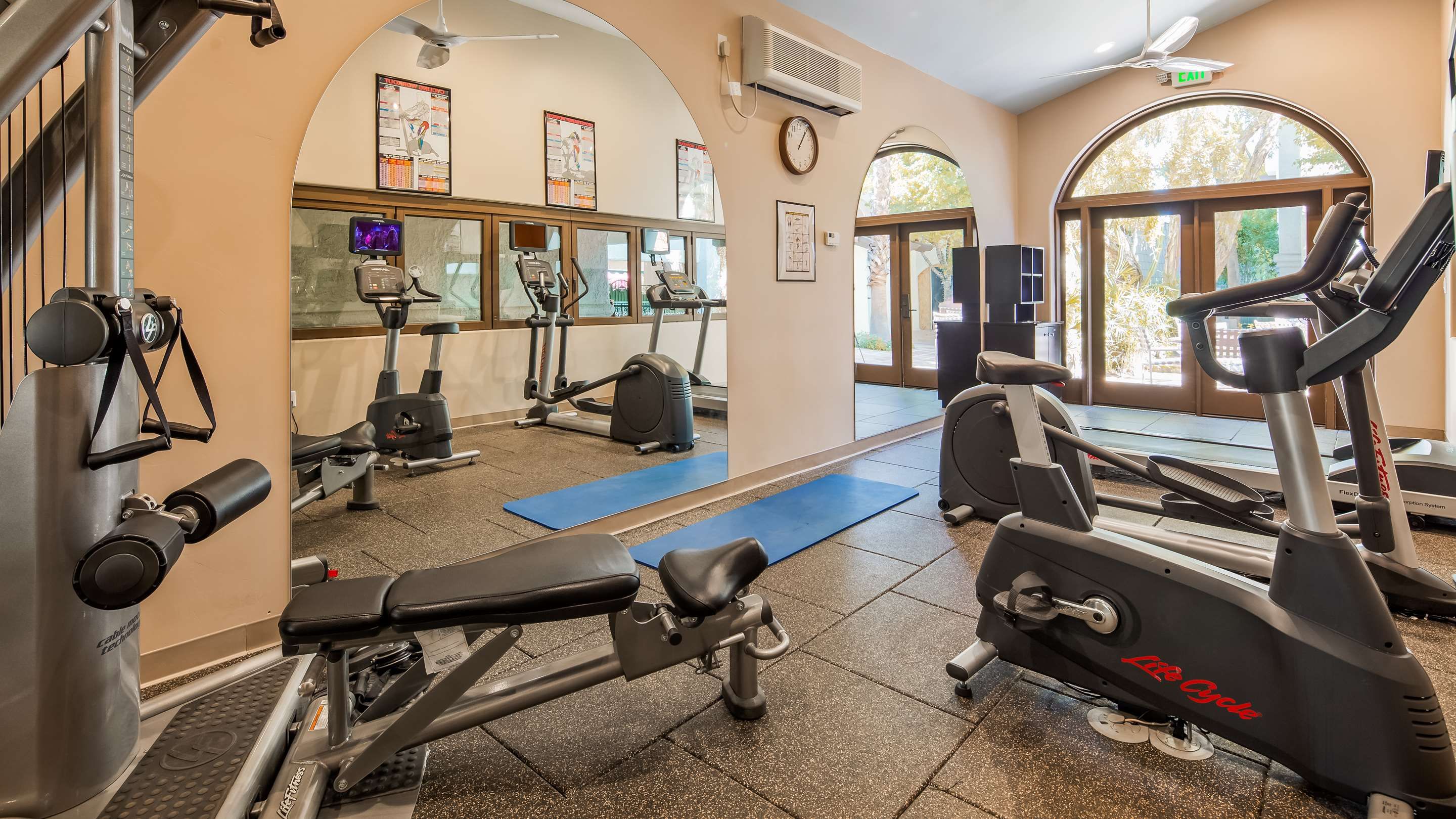 Palestra