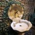 Arredamento