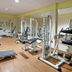 Palestra