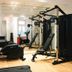 Palestra
