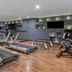 Palestra
