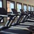 Palestra