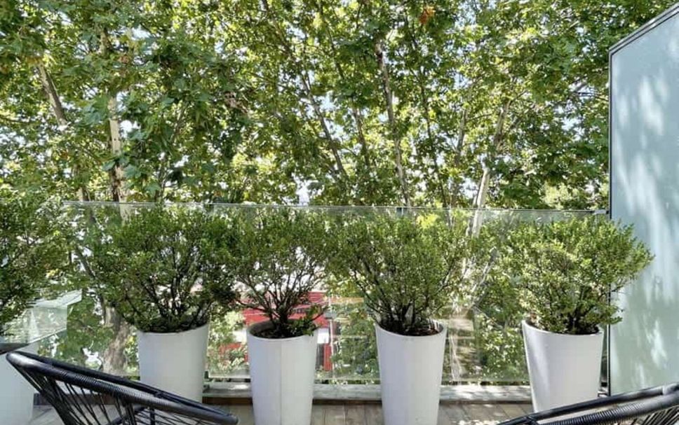 Patio Foto