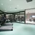 Palestra