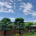 Vista esterna